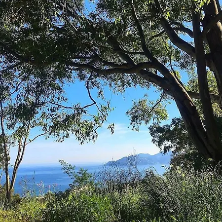 Stunning With Sea View Balcony & Swimming Pool Cannes